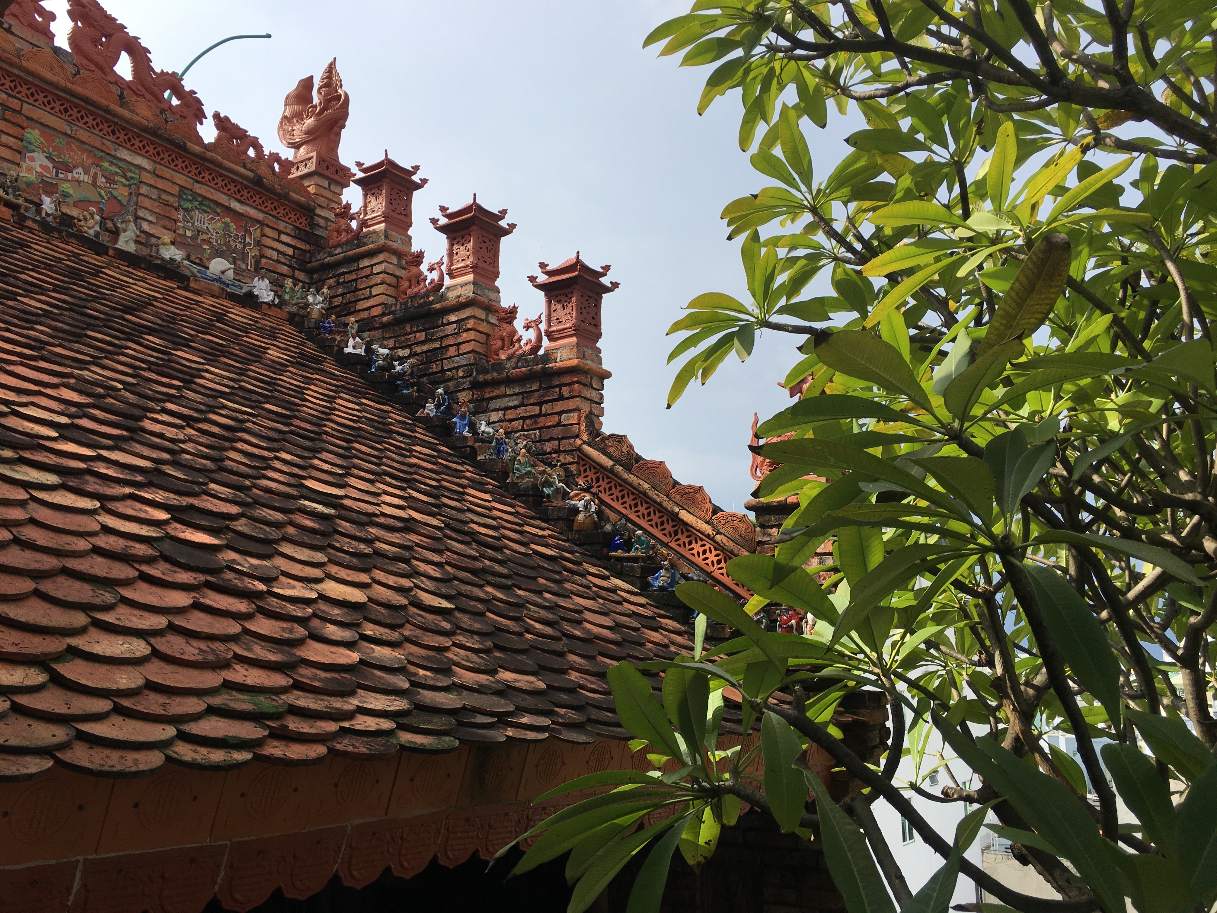 Traditional Medicine Museum